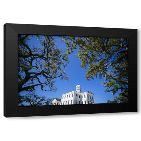 Courthouse 5 Black Modern Wood Framed Art Print with Double Matting by Malone, Will