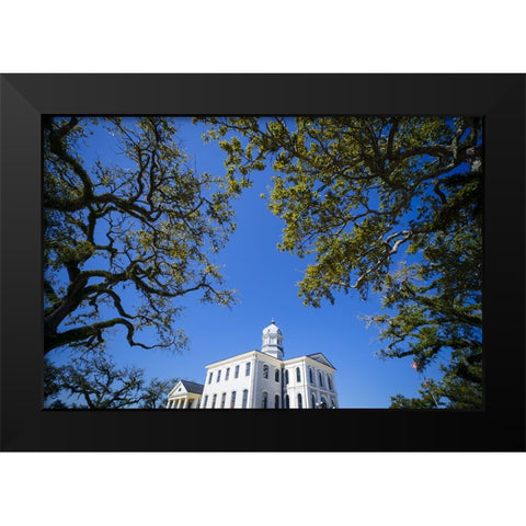 Courthouse 5 Black Modern Wood Framed Art Print by Malone, Will