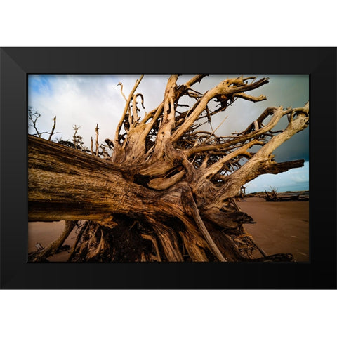 Dead Root Black Modern Wood Framed Art Print by Malone, Will