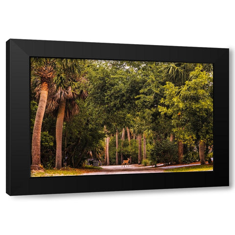 Deer Canopy Black Modern Wood Framed Art Print by Malone, Will