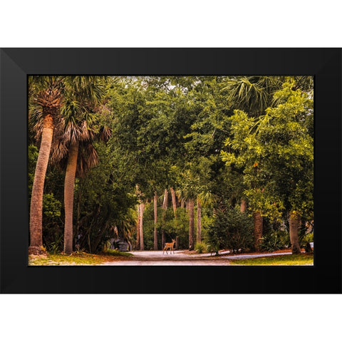 Deer Canopy Black Modern Wood Framed Art Print by Malone, Will