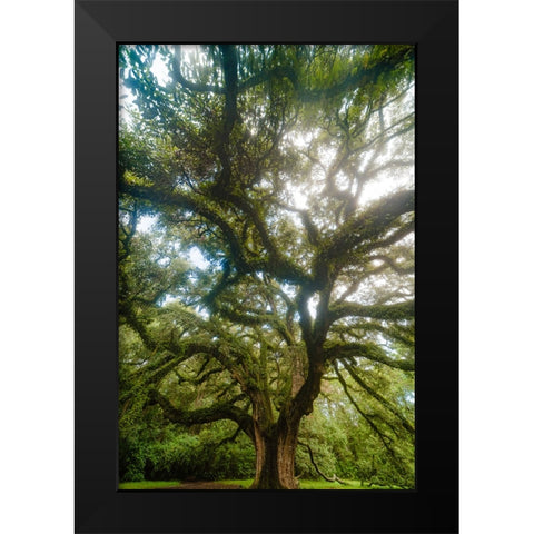 Dream Tree Vertical Black Modern Wood Framed Art Print by Malone, Will