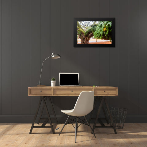 Fern 2 Black Modern Wood Framed Art Print by Malone, Will