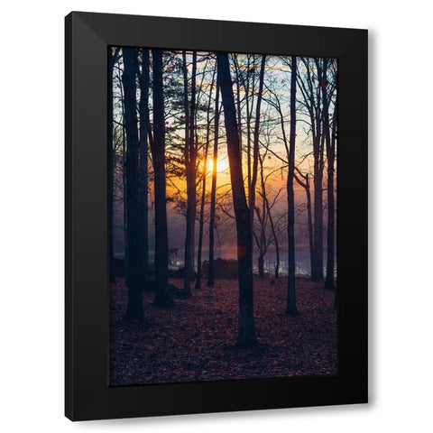 Foggy Sunrise Vert Black Modern Wood Framed Art Print by Malone, Will