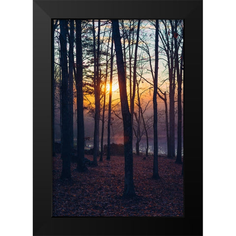 Foggy Sunrise Vert Black Modern Wood Framed Art Print by Malone, Will