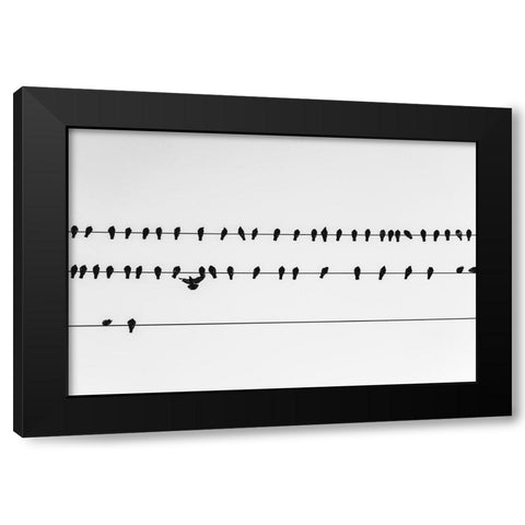 Get in Line Watermark Black Modern Wood Framed Art Print by Malone, Will