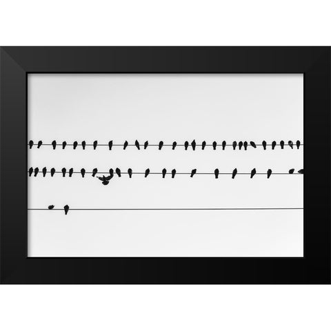 Get in Line Watermark Black Modern Wood Framed Art Print by Malone, Will