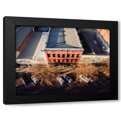 Grassroots Above Black Modern Wood Framed Art Print with Double Matting by Malone, Will