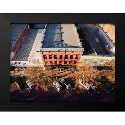 Grassroots Above Black Modern Wood Framed Art Print by Malone, Will