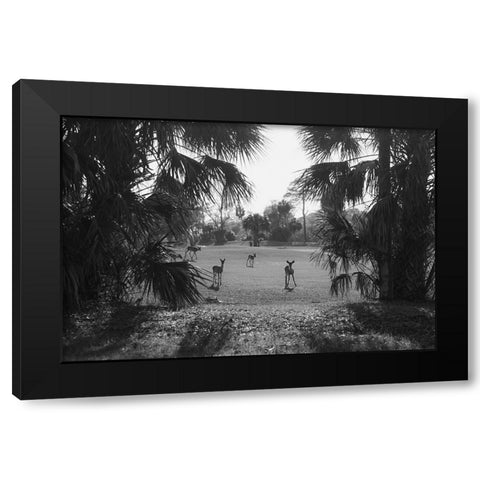 Hey Black Modern Wood Framed Art Print with Double Matting by Malone, Will