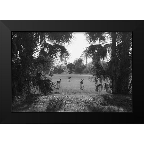 Hey Black Modern Wood Framed Art Print by Malone, Will