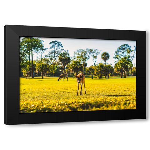 Hi Black Modern Wood Framed Art Print with Double Matting by Malone, Will