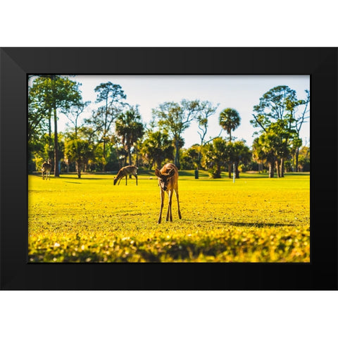 Hi Black Modern Wood Framed Art Print by Malone, Will