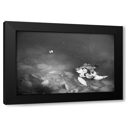 Leaves Black Modern Wood Framed Art Print with Double Matting by Malone, Will