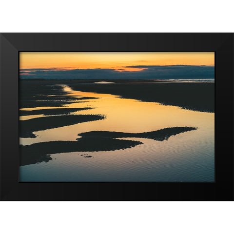 Magic Tide Pools 3 Black Modern Wood Framed Art Print by Malone, Will