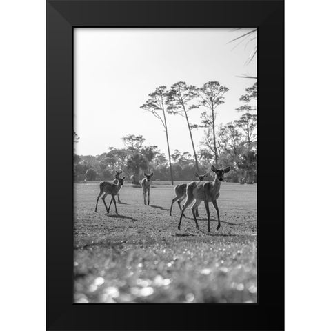 Make Way Black Modern Wood Framed Art Print by Malone, Will