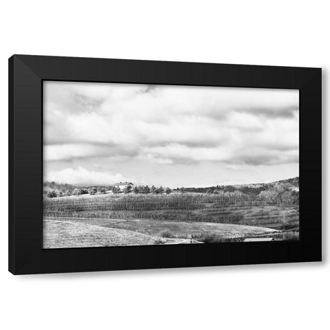 Merciers Black Modern Wood Framed Art Print by Malone, Will