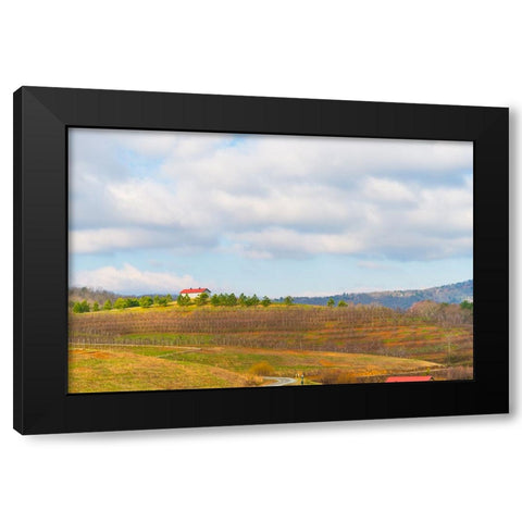 Merciers 2 Black Modern Wood Framed Art Print by Malone, Will