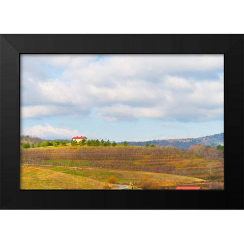 Merciers 2 Black Modern Wood Framed Art Print by Malone, Will