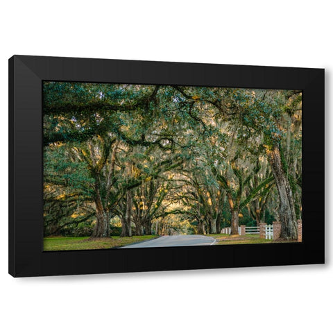 Morning Road Black Modern Wood Framed Art Print with Double Matting by Malone, Will
