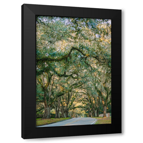 Morning Road Vertical Black Modern Wood Framed Art Print with Double Matting by Malone, Will