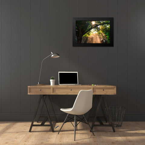 Morning Sunlight Horizontal Black Modern Wood Framed Art Print by Malone, Will