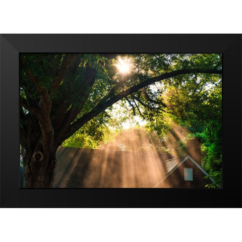 Morning Sunlight Horizontal Black Modern Wood Framed Art Print by Malone, Will