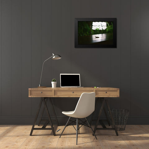 Nightlife snail Black Modern Wood Framed Art Print by Malone, Will