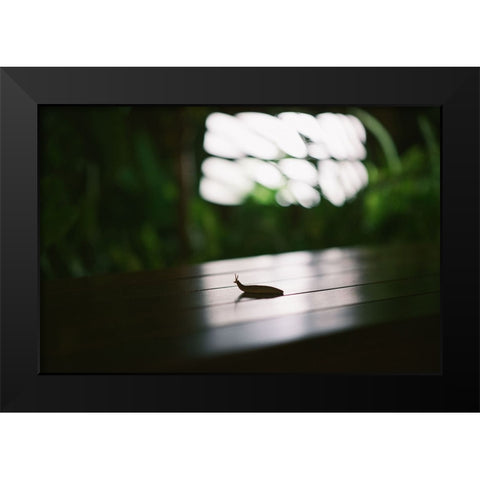 Nightlife snail Black Modern Wood Framed Art Print by Malone, Will