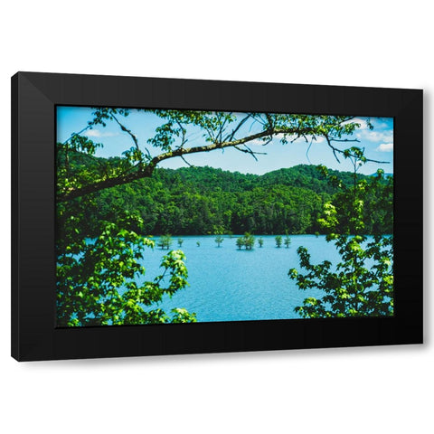 Ocoee Summer Black Modern Wood Framed Art Print by Malone, Will