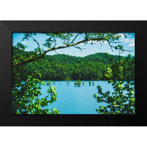 Ocoee Summer Black Modern Wood Framed Art Print by Malone, Will