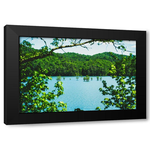 Ocoee Summer 2 Black Modern Wood Framed Art Print with Double Matting by Malone, Will