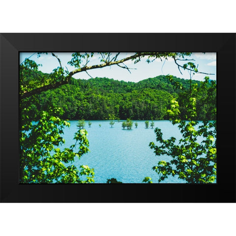 Ocoee Summer 2 Black Modern Wood Framed Art Print by Malone, Will