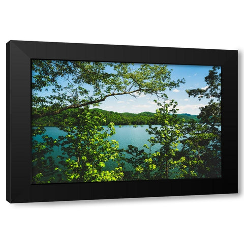 Ocoee Summer 3 Black Modern Wood Framed Art Print with Double Matting by Malone, Will