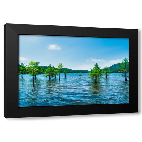 Ocoee Summer 4 Black Modern Wood Framed Art Print by Malone, Will