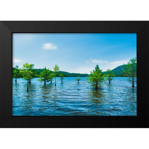 Ocoee Summer 4 Black Modern Wood Framed Art Print by Malone, Will