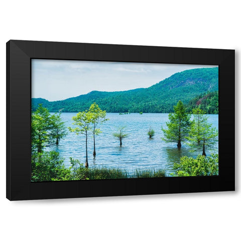 Ocoee Summer 6 Black Modern Wood Framed Art Print with Double Matting by Malone, Will