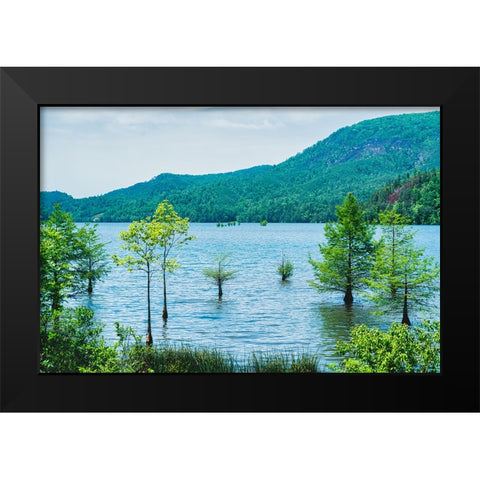 Ocoee Summer 6 Black Modern Wood Framed Art Print by Malone, Will
