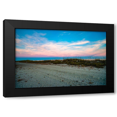 Over the Fence Black Modern Wood Framed Art Print with Double Matting by Malone, Will