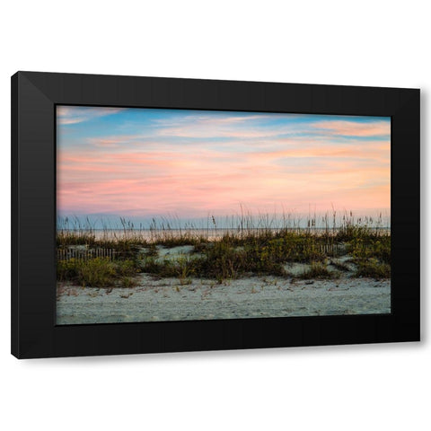 Over the Fence 2 Black Modern Wood Framed Art Print with Double Matting by Malone, Will