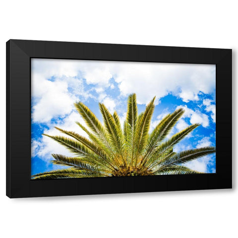 Palm Fan Black Modern Wood Framed Art Print by Malone, Will
