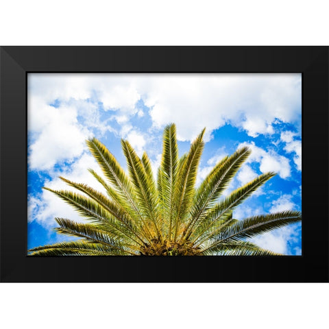 Palm Fan Black Modern Wood Framed Art Print by Malone, Will