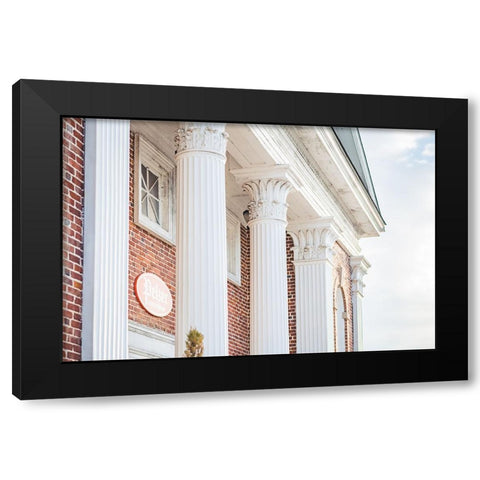 Pelzer Columns 3 Black Modern Wood Framed Art Print with Double Matting by Malone, Will