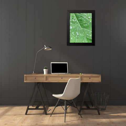 RainVein Black Modern Wood Framed Art Print by Malone, Will