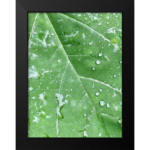 RainVein Black Modern Wood Framed Art Print by Malone, Will