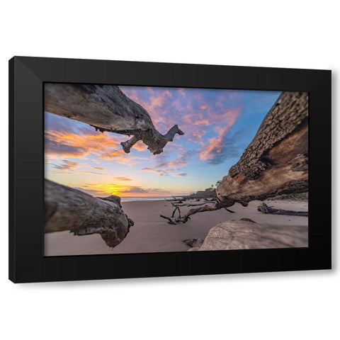 Reach Black Modern Wood Framed Art Print with Double Matting by Malone, Will