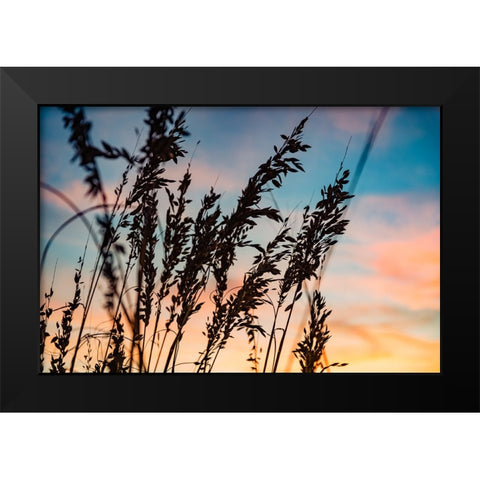 Shadow Grass Black Modern Wood Framed Art Print by Malone, Will