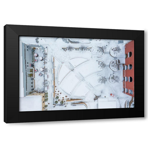 Snow Wren Black Modern Wood Framed Art Print by Malone, Will