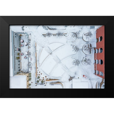 Snow Wren Black Modern Wood Framed Art Print by Malone, Will