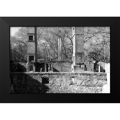Tanglewood 1 Black Modern Wood Framed Art Print by Malone, Will